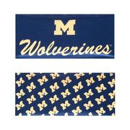 Big 10 Wide Headbands